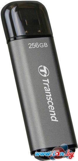 USB Flash Transcend JetFlash 920 256GB в Минске