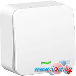 Выключатель Schneider Electric Blanca BLNVA106111 в Могилёве