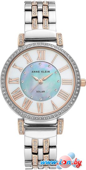 Наручные часы Anne Klein 3633MPRT в Бресте