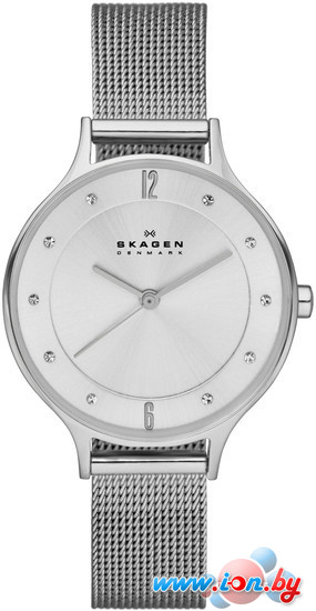 Наручные часы Skagen SKW2149 в Бресте