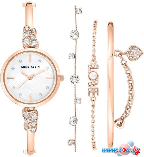 Наручные часы Anne Klein 3430RGST в Бресте