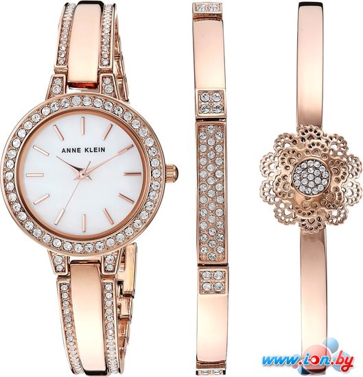 Наручные часы Anne Klein 3354RGST в Бресте