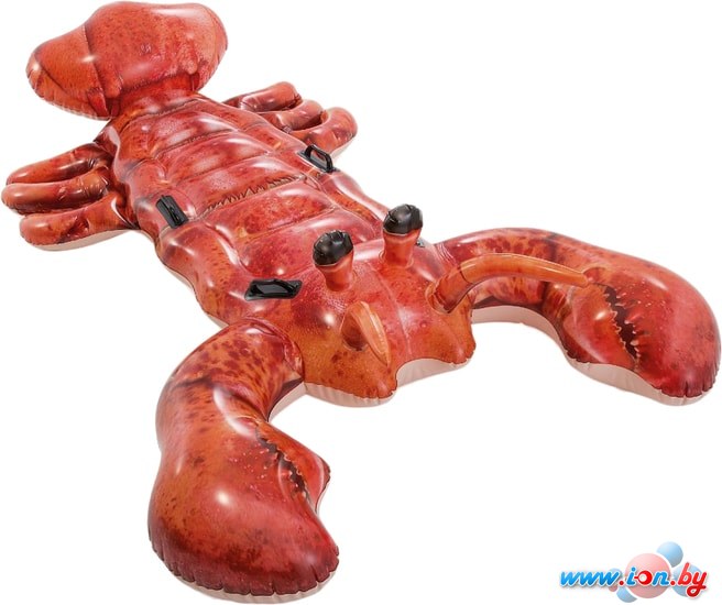 Надувной плот Intex Lobster 57533 в Бресте