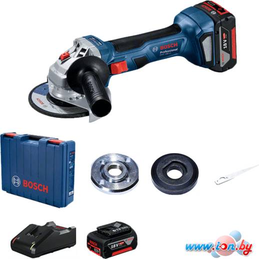 Угловая шлифмашина Bosch GWS 180-LI Professional 06019H9021 (с 2-мя АКБ, кейс) в Могилёве