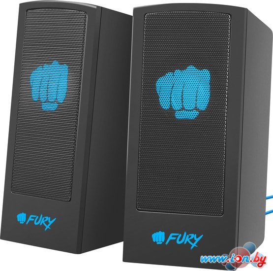 Акустика Fury Skyray в Гродно