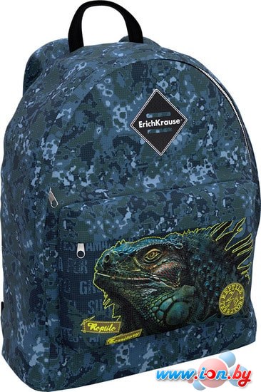 Рюкзак Erich Krause EasyLine 17L Iguana в Могилёве