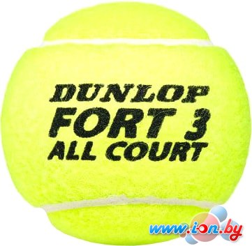 Мяч Dunlop Fort All Court (4 шт) в Гомеле