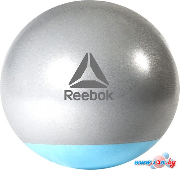 Мяч Reebok Gymball RAB-40016BL 65 см (серый/голубой) в Гомеле