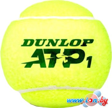 Мяч Dunlop ATP Official (4 шт) в Могилёве