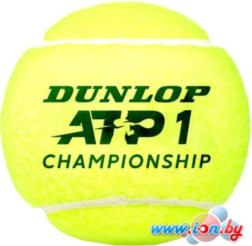 Мяч Dunlop ATP Championship (3 шт) в Бресте