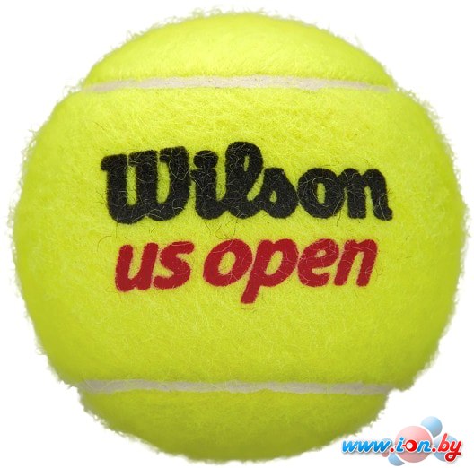 Мяч Wilson US Open WRT116200 (4 шт) в Могилёве