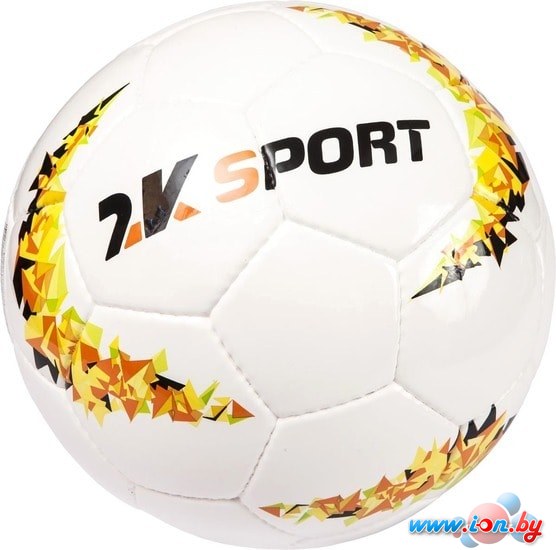 Мяч 2K Sport Crystal Evolution 127096 (5 размер) в Бресте