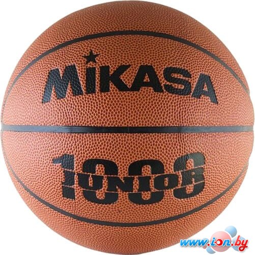 Мяч Mikasa BQJ1000 (5 размер) в Могилёве
