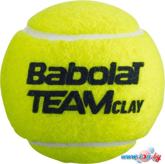 Мяч Babolat Team Clay (4 шт) в Бресте