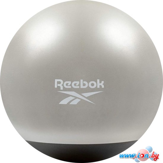 Мяч Reebok Gymball RAB-40015BK 55 см (серый/черный) в Могилёве