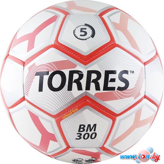 Мяч Torres BM 300 F30745 (5 размер) в Бресте