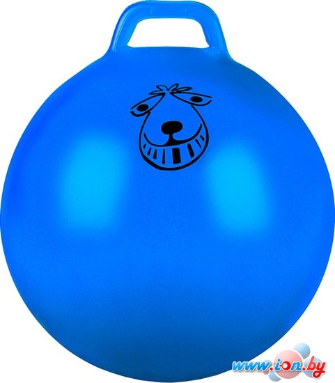 Мяч Indigo IN093 65 см (голубой) в Бресте