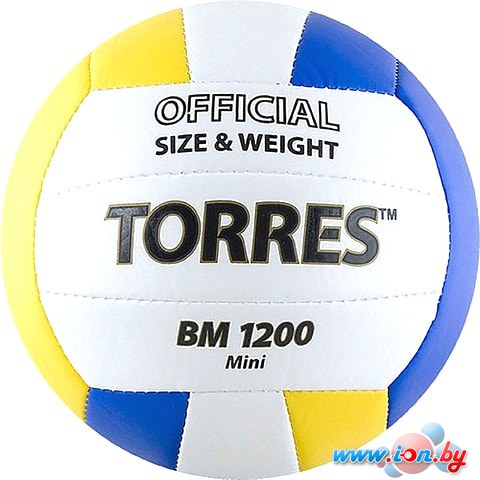 Мяч Torres BM 1200 Mini V30031 (1 размер) в Бресте