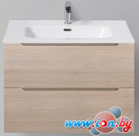 BelBagno Тумба под умывальник Etna-700-2C-SO-RG-P (rovere grigio) в Могилёве