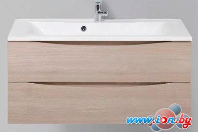 BelBagno Тумба под умывальник Marino-1000-2C-SO-RG-P (rovere grigio) в Могилёве