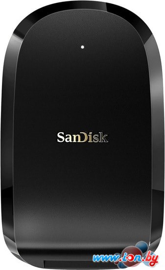 Карт-ридер SanDisk Extreme Pro CFexpress SDDR-F451-GNGNN в Бресте
