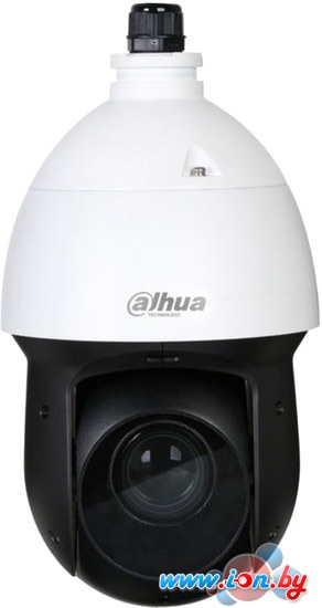 CCTV-камера Dahua DH-SD49225-HC-LA в Витебске