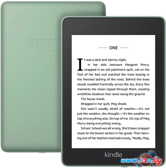 Электронная книга Amazon Kindle Paperwhite 2018 8GB (шалфей) в Гомеле