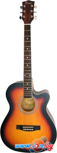 Акустическая гитара Foix FFG-1040SB в Могилёве