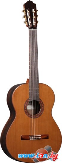 Акустическая гитара Almansa Student 424 Bubinga в Гомеле