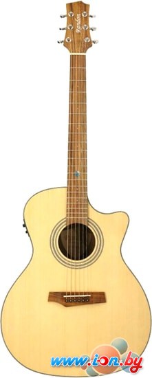 Электроакустическая гитара Randon RGI-04-CE в Витебске