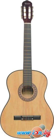Акустическая гитара Terris TC-3901A NA в Могилёве
