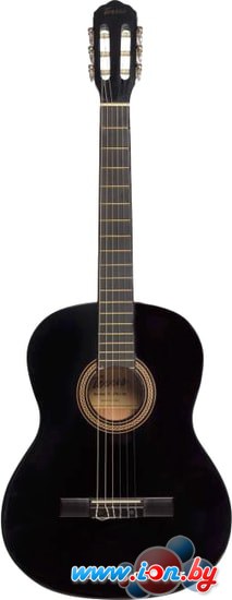 Акустическая гитара Terris TC-390A BK в Гомеле