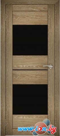 Межкомнатная дверь Юни Амати 16 (ч) 90x200 (дуб шале-натуральный/черное стекло) в Витебске