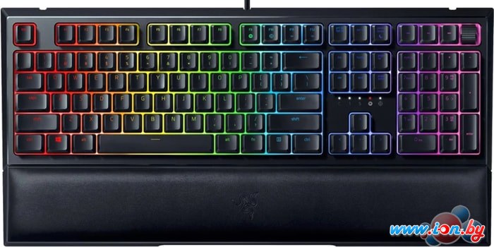 Клавиатура Razer Ornata V2 в Витебске