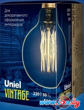 Лампа накаливания Uniel IL-V-G125 E27 60 Вт [UL-00000480] в Гродно