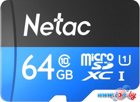 Карта памяти Netac P500 Standard 64GB NT02P500STN-064G-S в Гродно