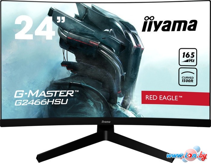 Монитор Iiyama G-Master G2466HSU-B1 в Могилёве