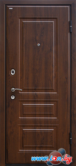 Металлическая дверь МеталЮр М11 темный орех в Бресте