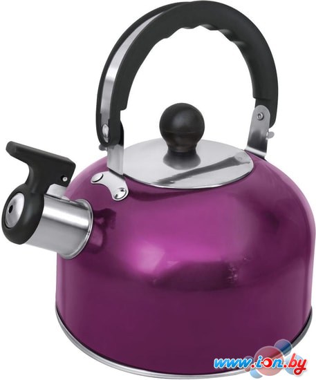 Чайник со свистком Home Element HE-WK1602 (фиолетовый чароит) в Бресте