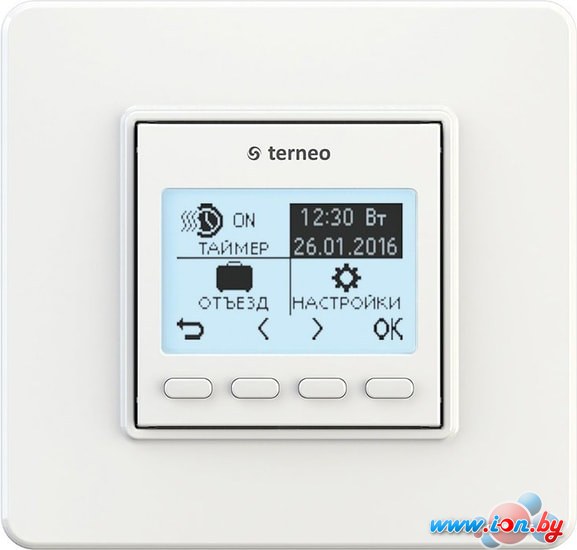 Терморегулятор Terneo pro (белый) в Могилёве