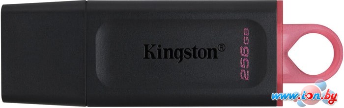 USB Flash Kingston Exodia 256GB в Минске