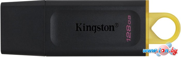 USB Flash Kingston Exodia 128GB в Минске