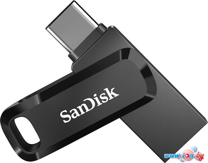 USB Flash SanDisk Ultra Dual Drive Go Type-C 256GB SDDDC3-256G-G46 в Бресте