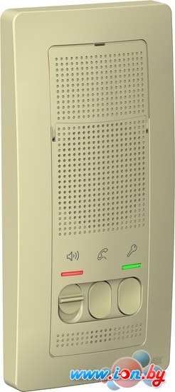 Вызывная панель Schneider Electric Blanca BLNDA000017 в Гомеле