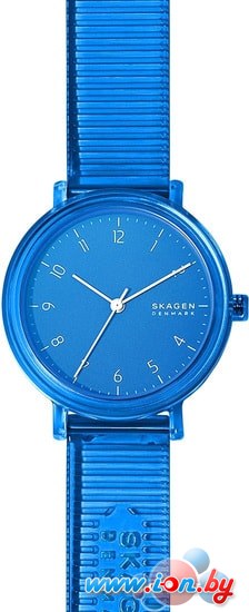 Наручные часы Skagen SKW2855 в Бресте