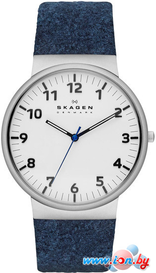 Наручные часы Skagen SKW6098 в Бресте