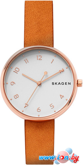 Наручные часы Skagen SKW2624 в Гомеле