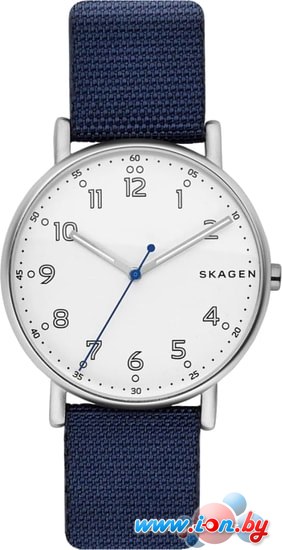 Наручные часы Skagen SKW6356 в Бресте