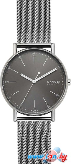 Наручные часы Skagen SKW6577 в Могилёве