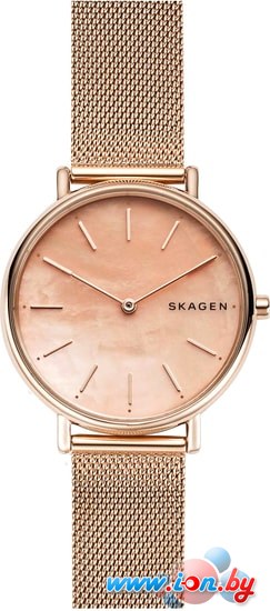 Наручные часы Skagen SKW2732 в Могилёве